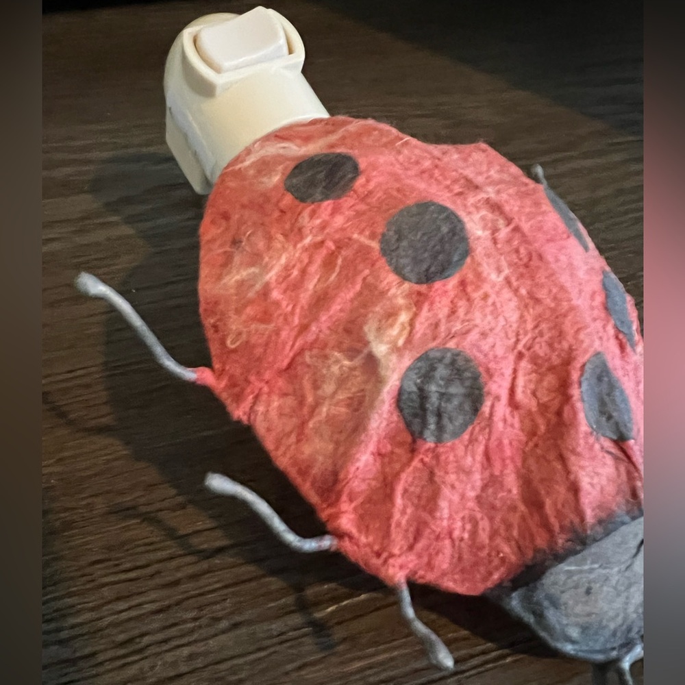 Rustic Whimsical paper-mâché ladybug  🐞 Nightlight - Picture 2 of 6